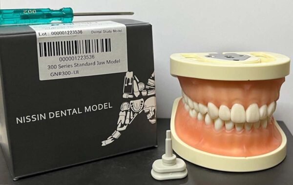 Nissin Typodont Jaw Set - 300 Series - GNR300 - UL Original Nissin Jawset With Soft Gums