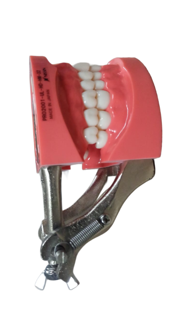 Nissin Articulator (Original)