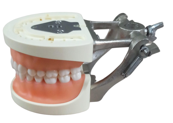 Nissin Articulator (Original)