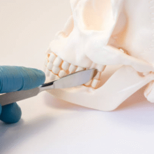 Oral and Maxillofacial Surgery