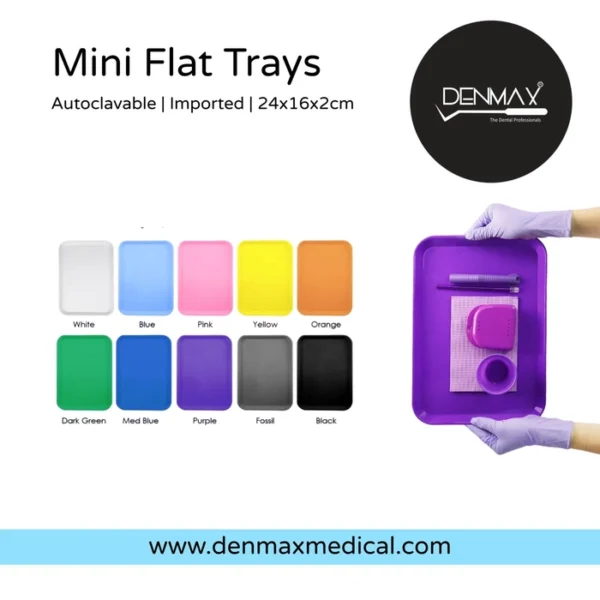 Mini Flat Trays – Stainless Steel, Durable & Autoclavable - Denmax