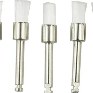Prophy Cups & Brushes – Effective Polishing Tools for Dental Cleaning-Denmax