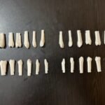 Nissin GNR 300 push type typho tooth All 32 teeth numbers available
