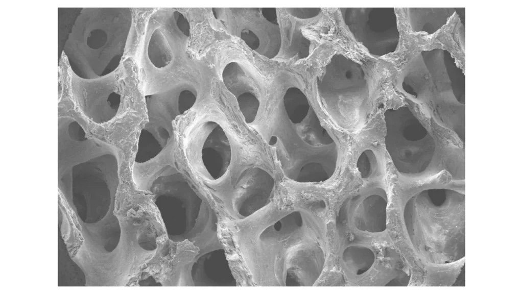 9cb5687b-5b78-4d0f-b6a2-ef447c20387d